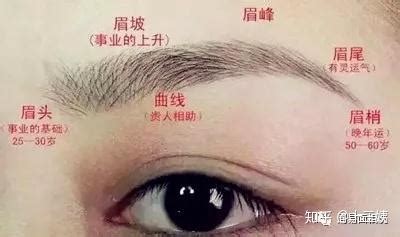 眉毛改运|女人怎样修眉转运｜面